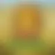 Zagraj Mega Moolah z Games Global w {"id":15,"name":"Hitnspin","design":{"logo":"hitnspin-logo.dEWKW4.svg","favicon":"hitnspin-favicon.Gslwff.png","banner_poker":"hitnspin-poker.7fdrRH.webp","banner_mobile":"hitnspin-mobile.C0iSfz.webp","block_bg_color":"#fef2f2","image_bg_color":"#f87171","banner_bg_color":"#EA3621","block_text_color":"#111827","primary_bg_color":"#FFFFFF","banner_text_color":"#fff","footer_logos_type":"black","block_round_radius":"0.75rem","primary_text_color":"#111827","button_round_radius":"0.75rem","banner_welcome_bonus":"hitnspin-welcome-bonus.FJz5OL.webp","primary_button_bg_color":"#FF6B00","primary_button_text_color":"#f8fafc","secondary_button_bg_color":"#DD312C","secondary_button_text_color":"#f8fafc"},"created_at":"2025-05-14T09:25:22.000000Z","updated_at":"2025-05-14T09:25:22.000000Z","deleted_at":null}